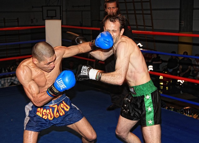 Betfair combat sports exchange市場數據分析與策略